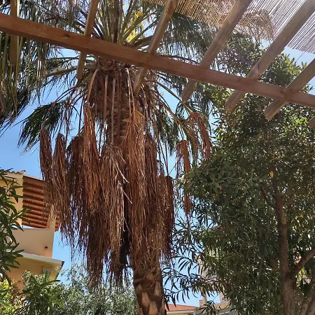 Corallo With Private Garden 度假居 奧爾比亞