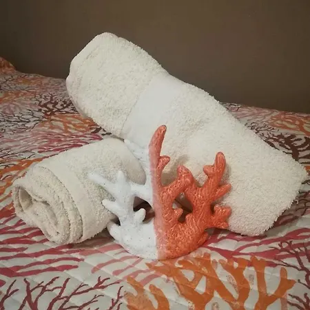 Corallo With Private Garden 奧爾比亞