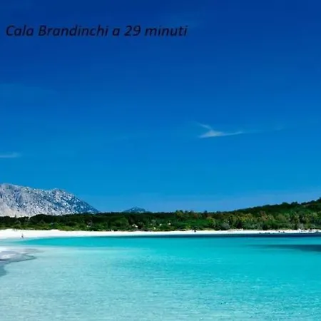 度假居 Corallo With Private Garden