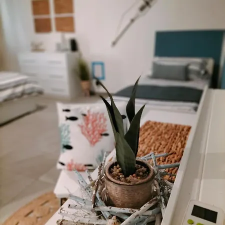 Corallo With Private Garden * 올비아